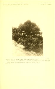 n108_w1150