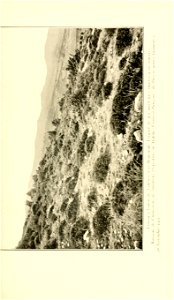 n276_w1150