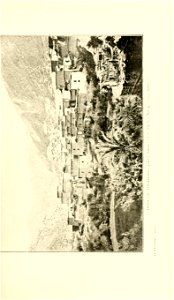 n246_w1150