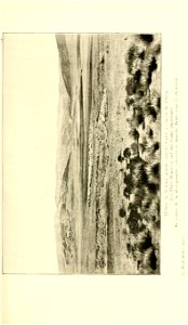 n216_w1150