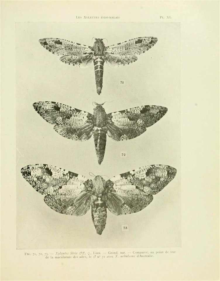 n146_w1150