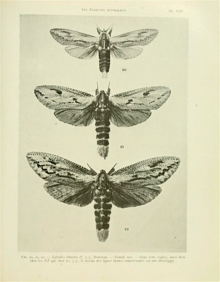 n116_w1150