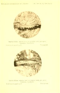 n194_w1150