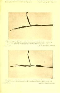 n164_w1150