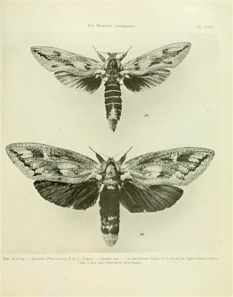 n114_w1150