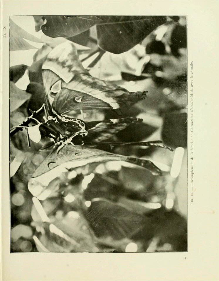 n56_w1150