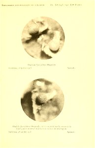 n222_w1150