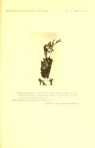 n192_w1150