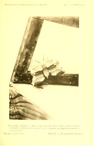 n162_w1150