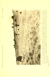 n132_w1150