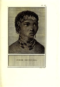 n516_w1150