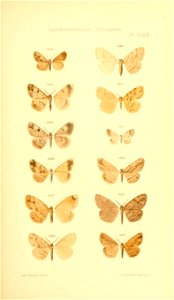 n306_w1150