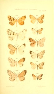 n304_w1150