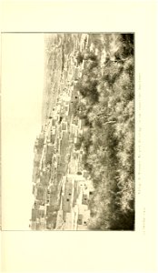 n238_w1150