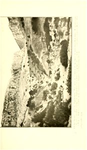 n208_w1150