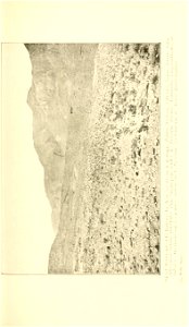 n178_w1150