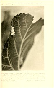 n118_w1150