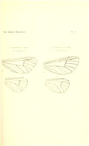 n58_w1150