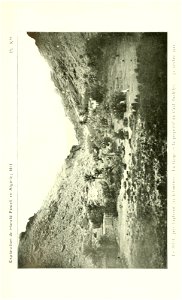 n614_w1150
