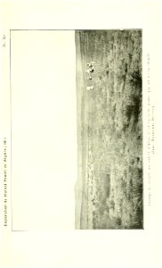 n524_w1150