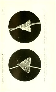 n494_w1150