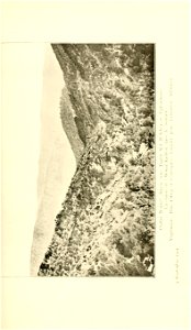 n206_w1150