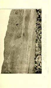 n176_w1150