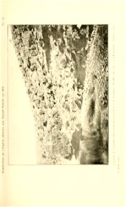 n146_w1150