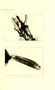 n56_w1150