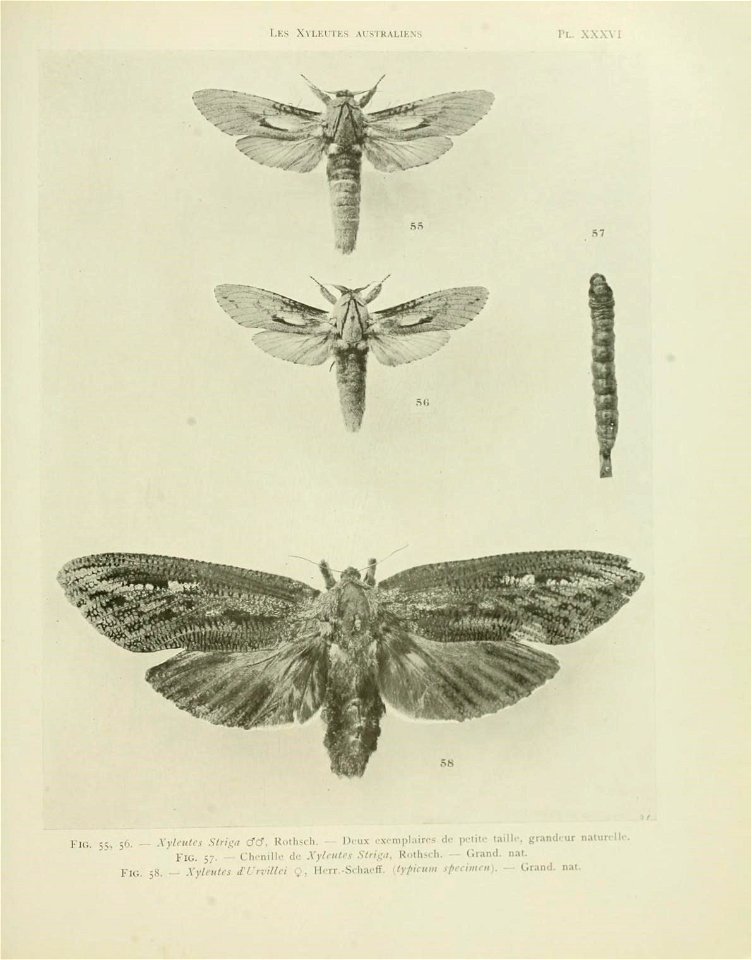 n138_w1150