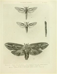 n138_w1150