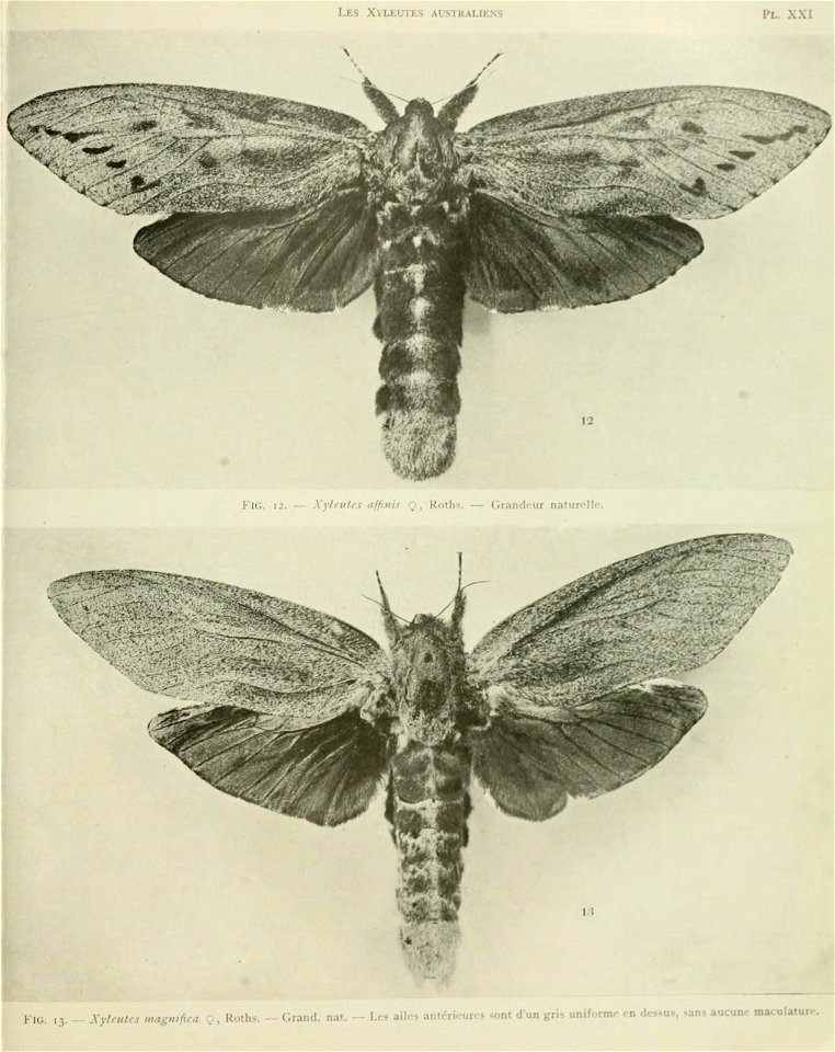 n108_w1150