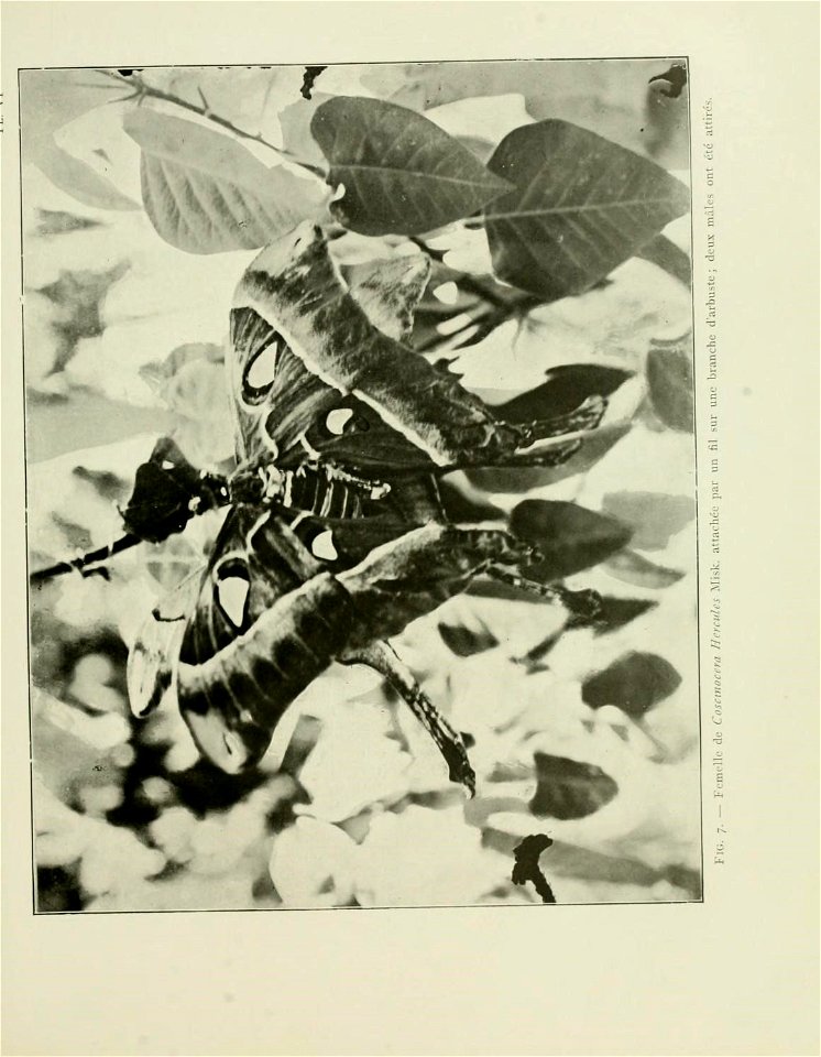 n50_w1150