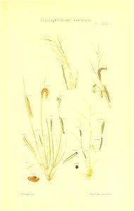 n306_w1150