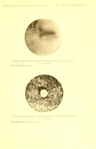 n216_w1150