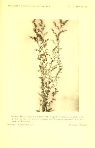 n186_w1150