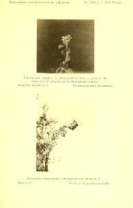 n156_w1150