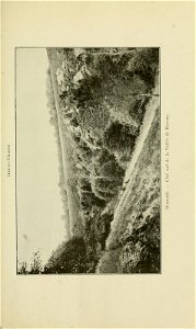 n200_w1150