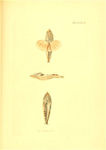 n622_w1150