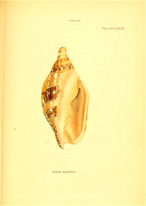 n566_w1150