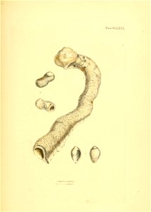 n514_w1150