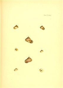 n360_w1150