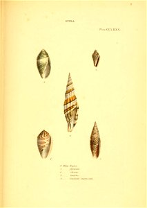 n562_w1150