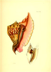 n456_w1150
