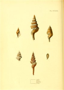 n409_w1150