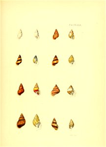 n182_w1150