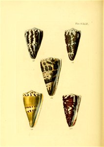 n609_w1150