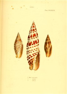 n560_w1150