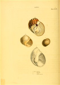 n301_w1150