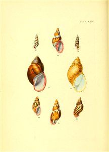 n179_w1150